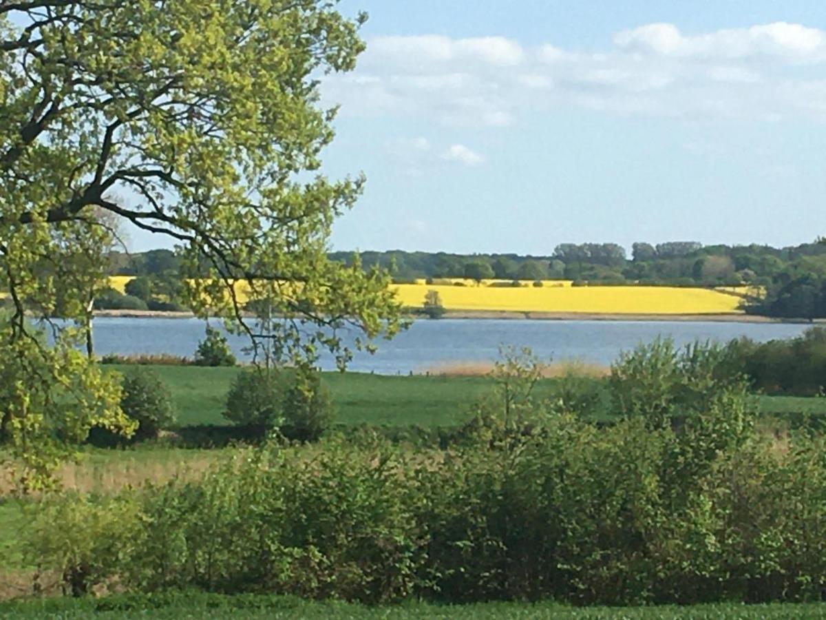 Ferienhaus Nr 4 Goltoft-Schlei Brodersby-Goltoft Exteriér fotografie